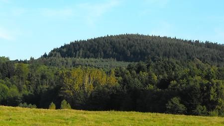 Agroturystyka Zacisze Czarna Owca Brzezanka Esterno foto