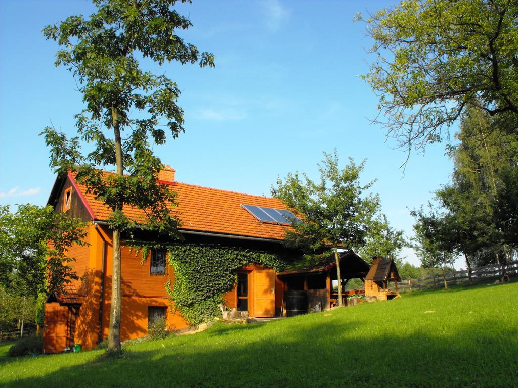 Agroturystyka Zacisze Czarna Owca Brzezanka Esterno foto