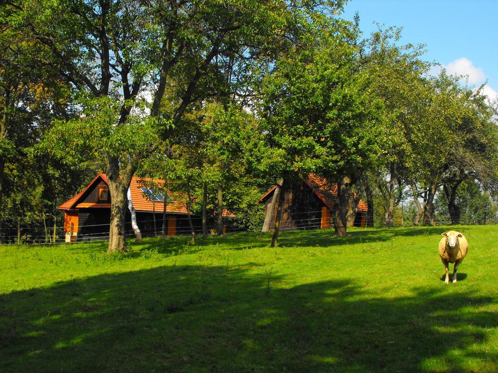 Agroturystyka Zacisze Czarna Owca Brzezanka Esterno foto