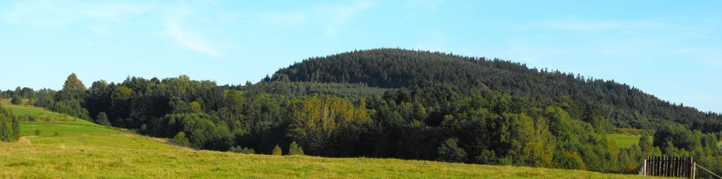 Agroturystyka Zacisze Czarna Owca Brzezanka Esterno foto