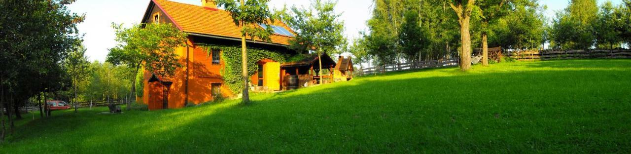 Agroturystyka Zacisze Czarna Owca Brzezanka Esterno foto