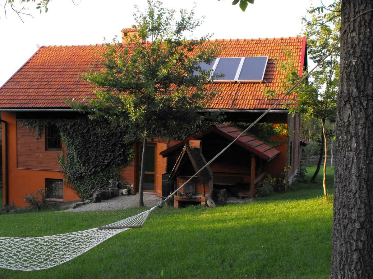 Agroturystyka Zacisze Czarna Owca Brzezanka Esterno foto
